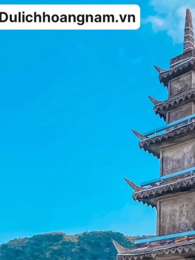   Hỗ trợ trực tuyến