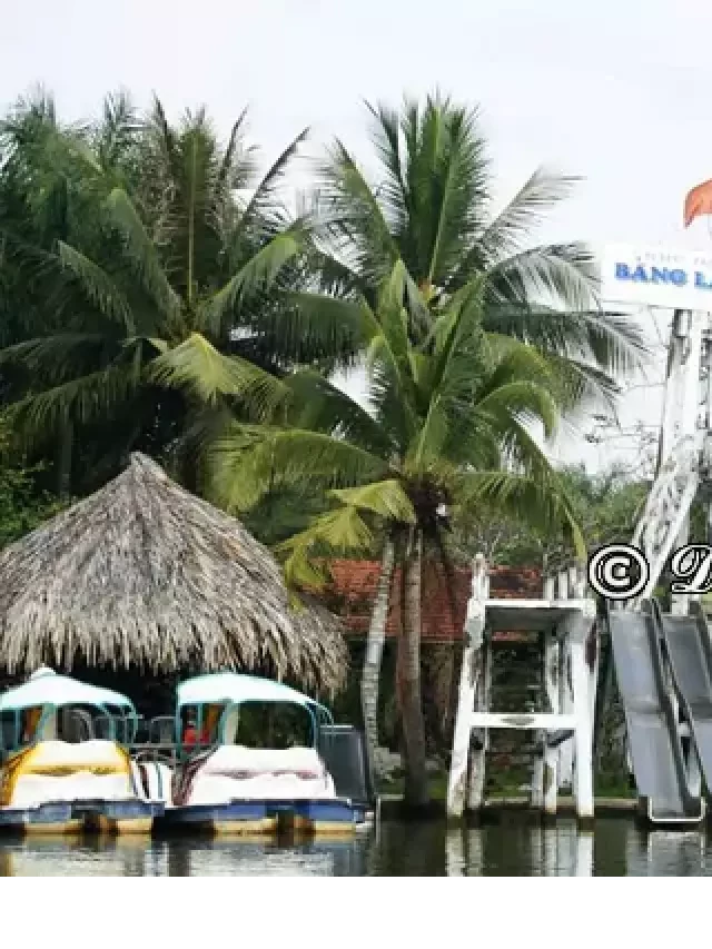   Kinh nghiệm đi khu du lịch Bằng Lăng Tím, Đồng Nai 1/2024 chi tiết