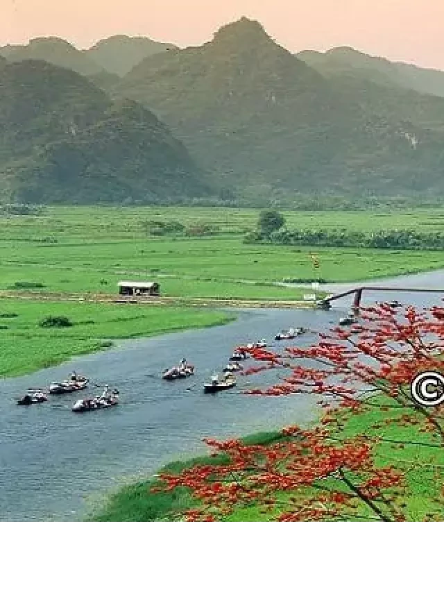   Kinh nghiệm du lịch chùa Hương mùa lễ hội &amp; giá vé mới nhất 2024