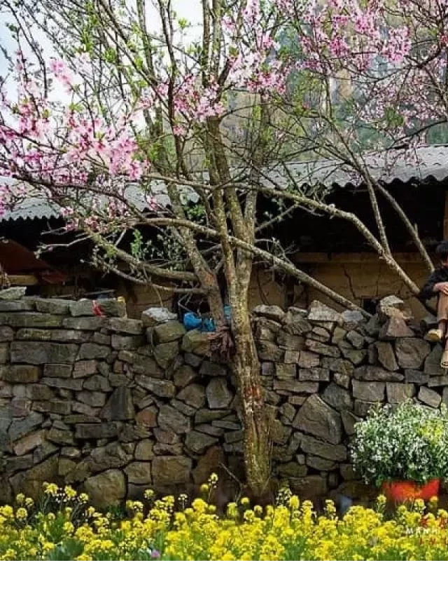  Kinh Nghiệm Du Lịch Miền Bắc: Những Điểm Đến Hấp Dẫn