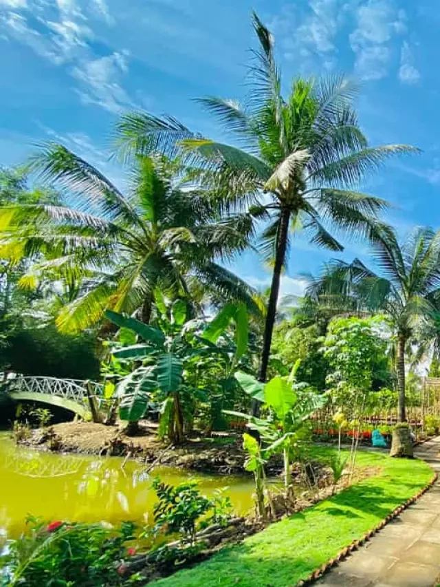   Làng du lịch Tre Việt: Nơi tìm về chốn yên bình