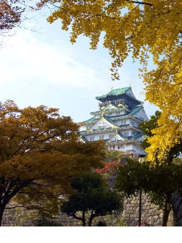   Tour du lịch Nhật Bản 3 ngày 2 đêm: Khám phá Osaka, Kyoto, Wakayama