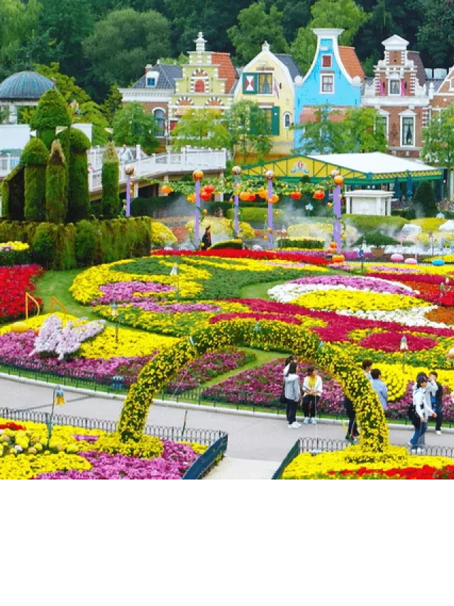  Tour Hàn Quốc Mùa Thu: Khám phá nét đẹp độc đáo của xứ sở Kim Chi
