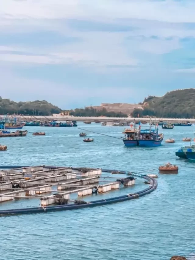   Du lịch miền Bắc 2 ngày 1 đêm: Khám phá 15 địa điểm thú vị