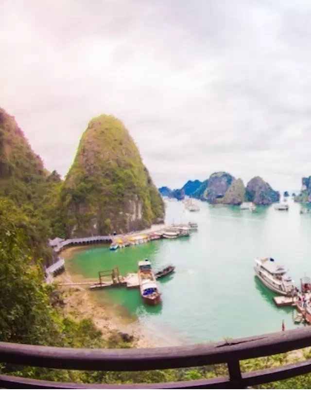   Lựa chọn hãng tàu tốt nhất để tham quan Hạ Long