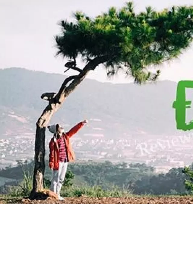   Du lịch Đà Lạt 3 ngày 2 đêm: Kinh nghiệm và điểm đến độc đáo