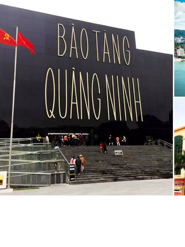   Top 5 Tours Hạ Long 3 Ngày 2 Đêm Đáng Chú Ý Trong Năm 2022