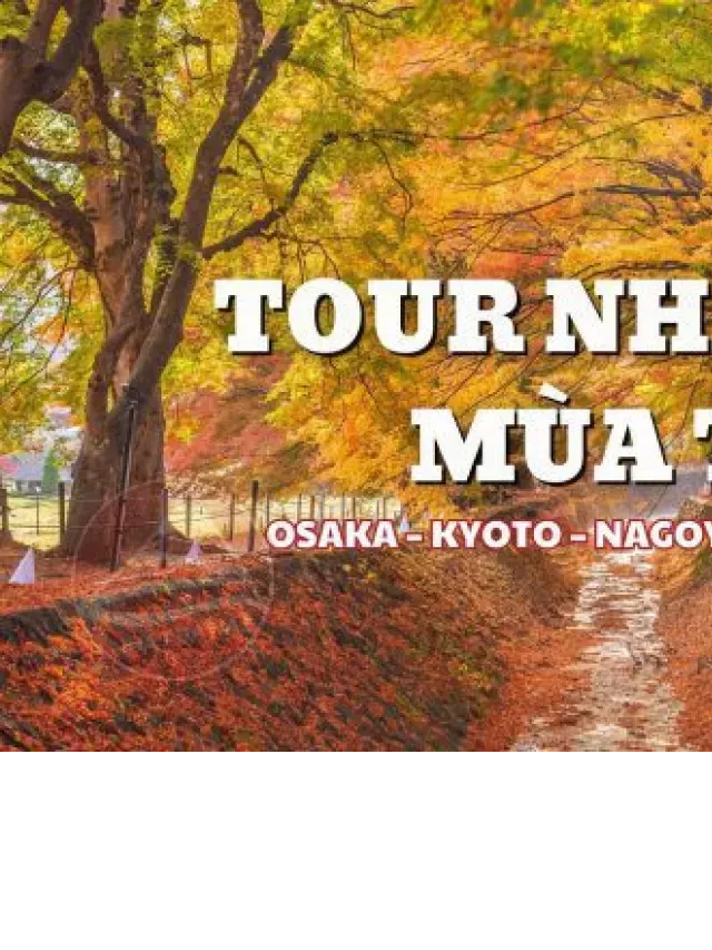   Tour mùa thu lá đỏ tại Nhật Bản: Trải nghiệm tuyệt vời trong 6 ngày 5 đêm