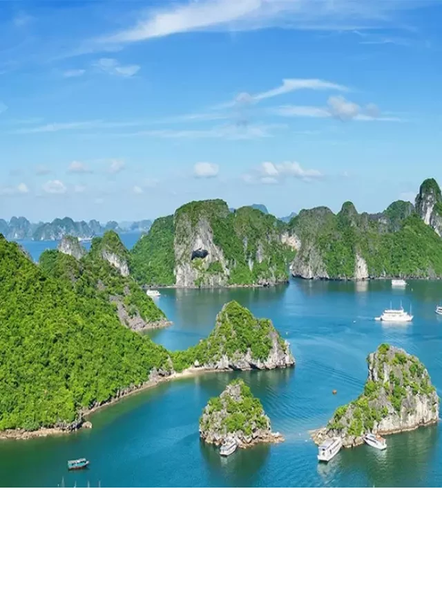   Tour du lịch Hạ Long Tuần Châu 3 ngày 2 đêm - Khám phá vẻ đẹp tuyệt vời của Hạ Long và Tuần Châu