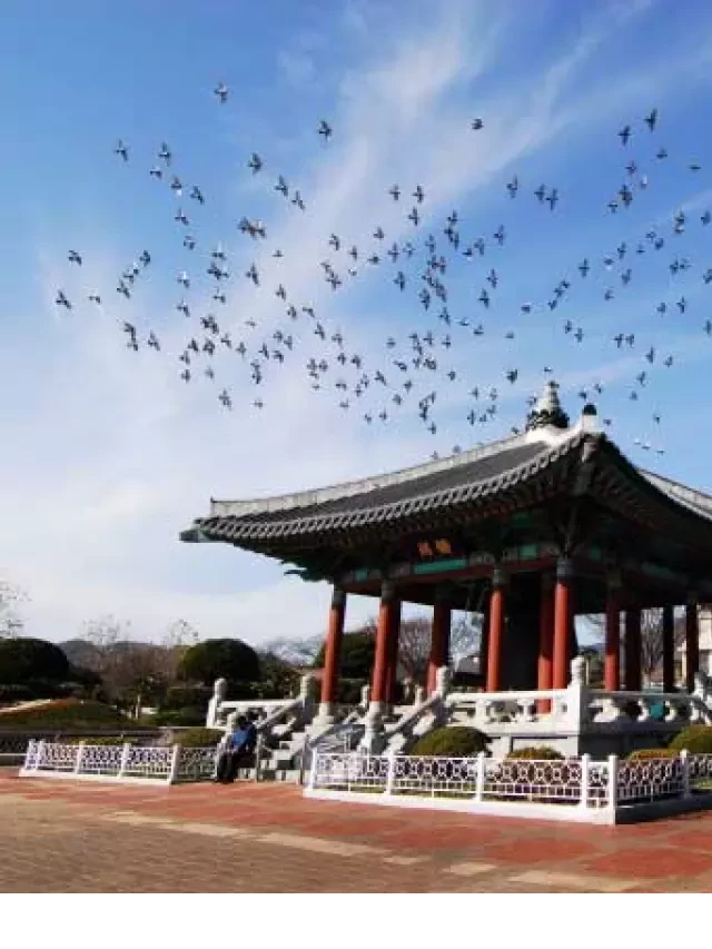   Tour Du Lịch Hàn Quốc 5 Ngày 5 Đêm: Busan - Seoul