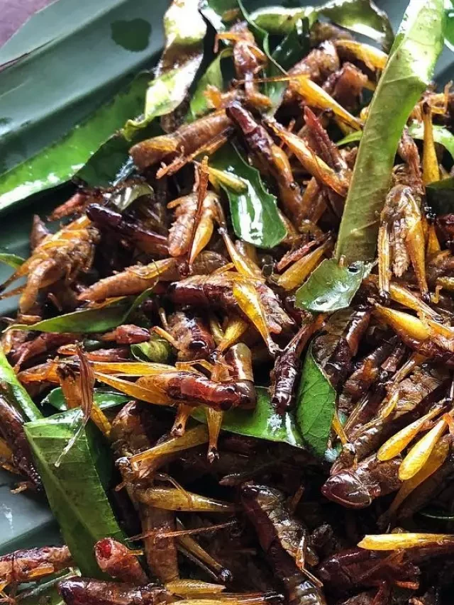   10 Quán ăn ngon nhất ở khu vực Hồ Tây Hà Nội