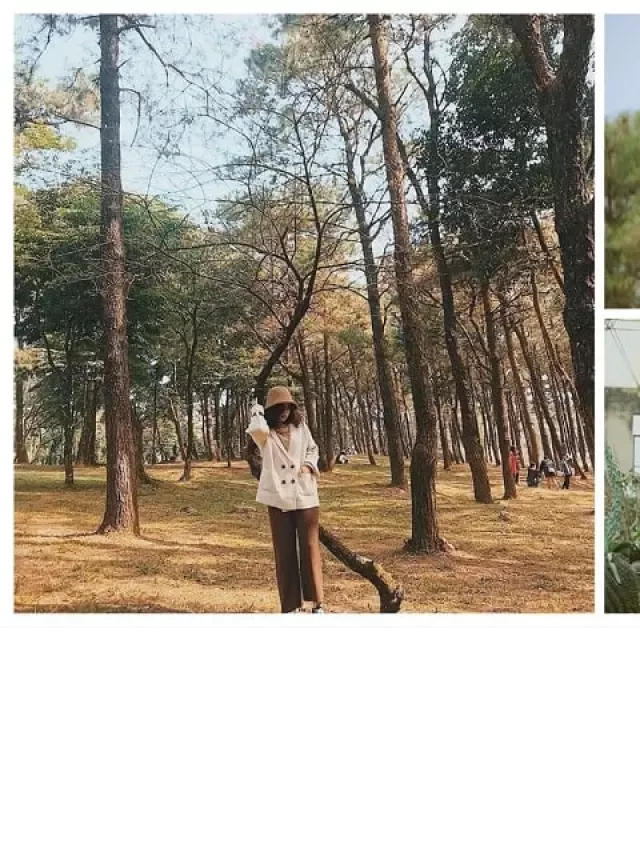   29 điểm du lịch gần Hà Nội cực chill để 'đi trốn' cuối tuần 2024