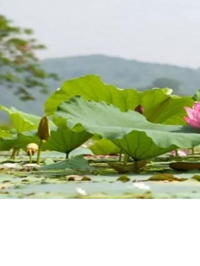   3 địa điểm du lịch gần chùa Hương nổi tiếng nhất