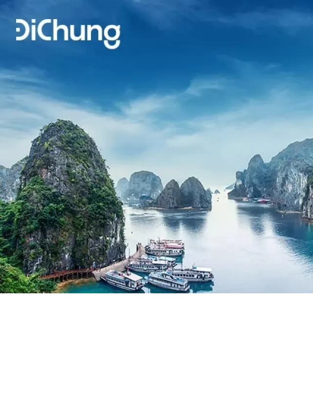   5 CÁCH DI CHUYỂN XE HÀ NỘI HẠ LONG BẠN NÊN BIẾT