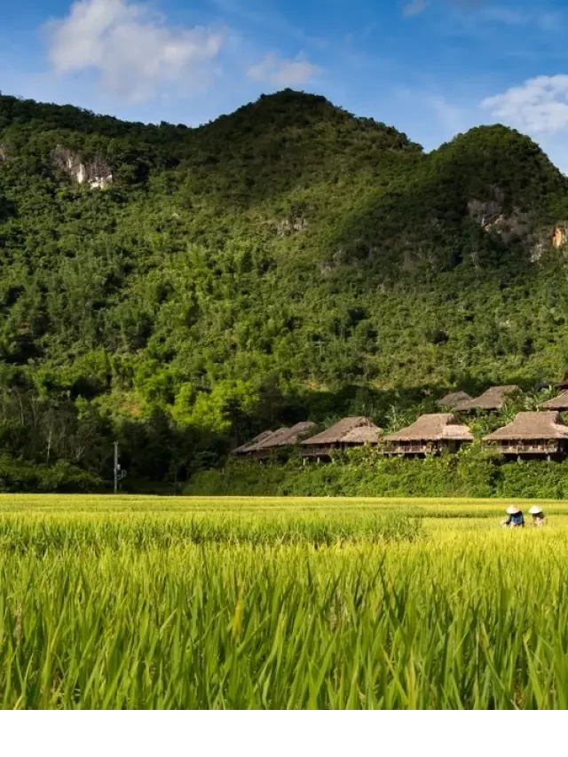   7 điểm du lịch hấp dẫn nhất ở miền Bắc vào mùa thu