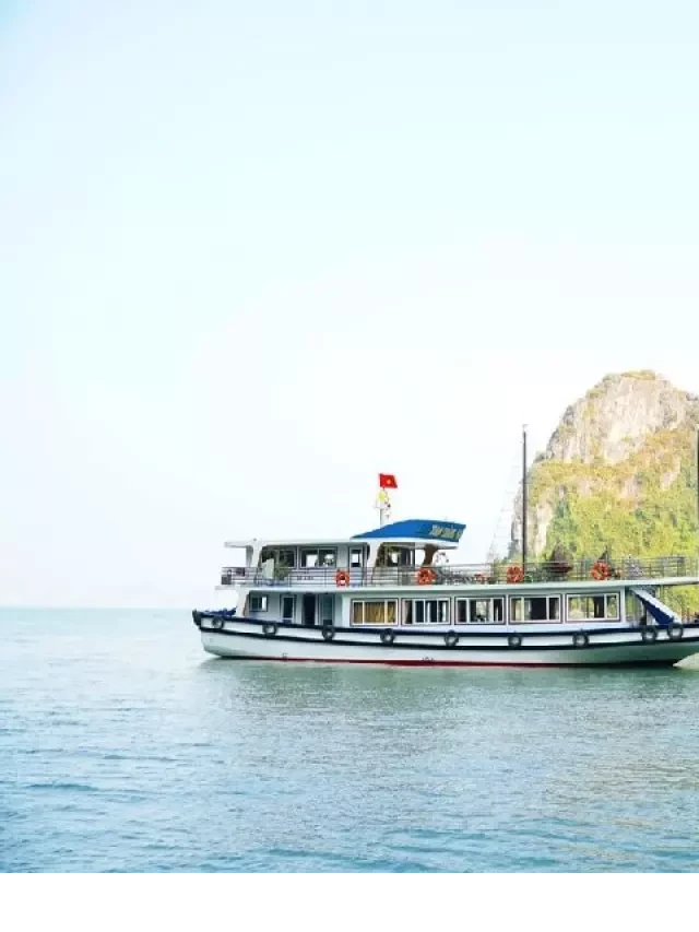   Thuê tàu thăm Vịnh Hạ Long: Giá cả và Chương trình tour