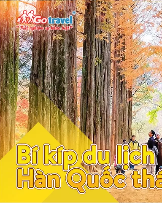   Bí Kíp Du lịch Hàn Quốc tháng 10: Khám phá những điều thú vị
