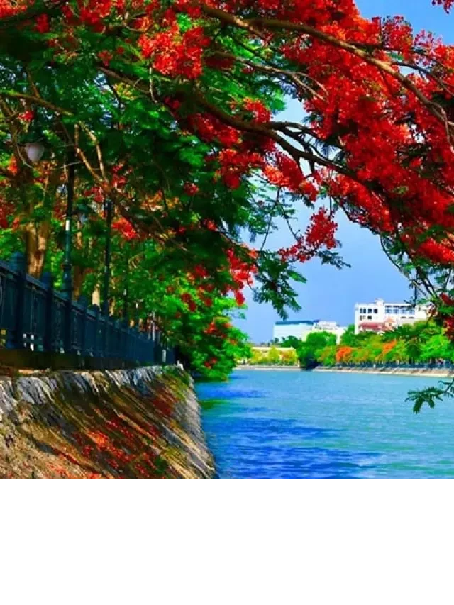   Bỏ túi kinh nghiệm đi Hải Phòng siêu tiết kiệm