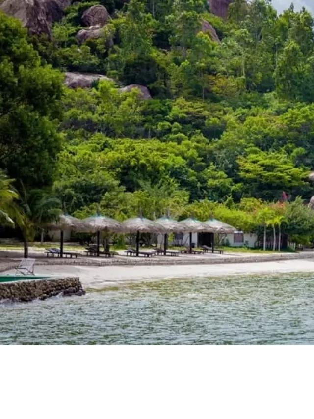   Cẩm nang: Bãi Sao Biển - Điểm đến lãng mạn bậc nhất ở Nha Trang
