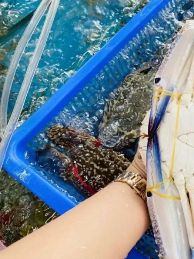   Đặc sản Móng Cái: Ý nghĩa món quà từ vùng đất biên giới