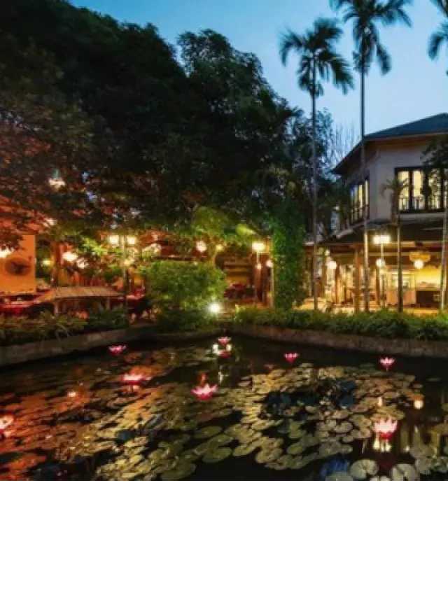   Đánh giá nhà hàng buffet Sen Tây Hồ: Mừng xuân 2022 với thực đơn đặc sắc