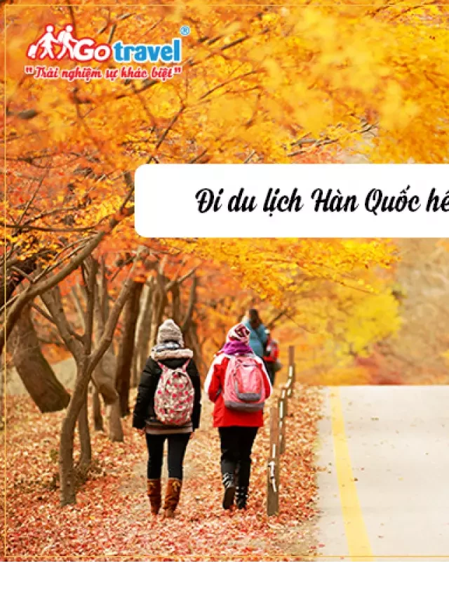   Đi du lịch Hàn Quốc: Một chuyến hành trình đáng nhớ