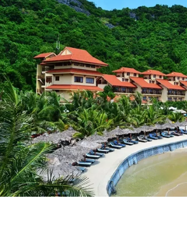   Du lịch Cát Bà 2 ngày 1 đêm: Khám phá thiên đường biển