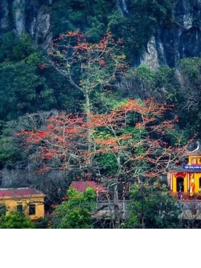   Du lịch chùa Hương: Khám phá vẻ đẹp mùa thu