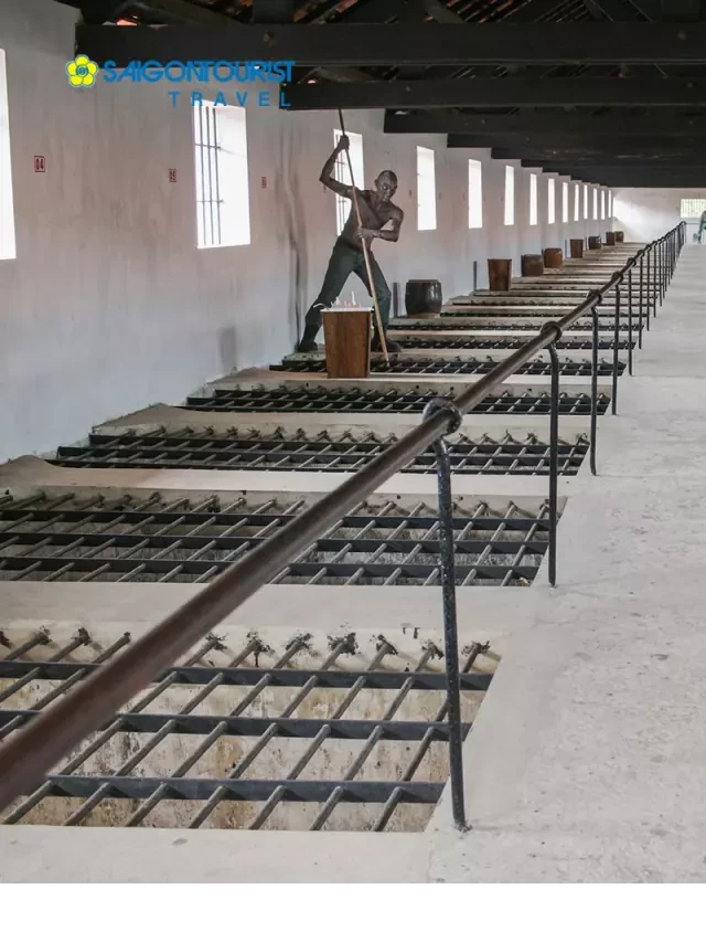   Du Lịch Côn Đảo: Khám phá Đảo Ngọc Bình Yên