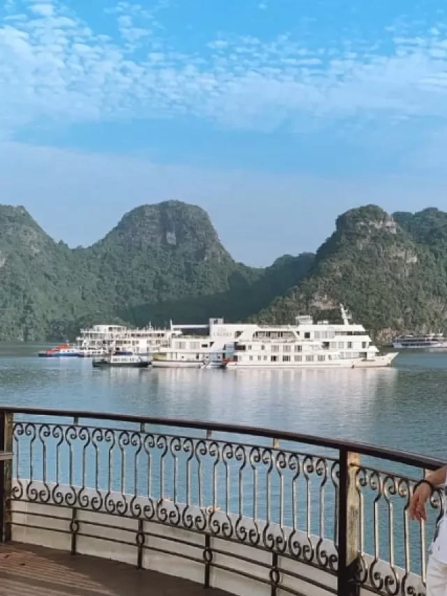   Du lịch Hạ Long tháng 12: Khám phá vẻ đẹp hấp dẫn