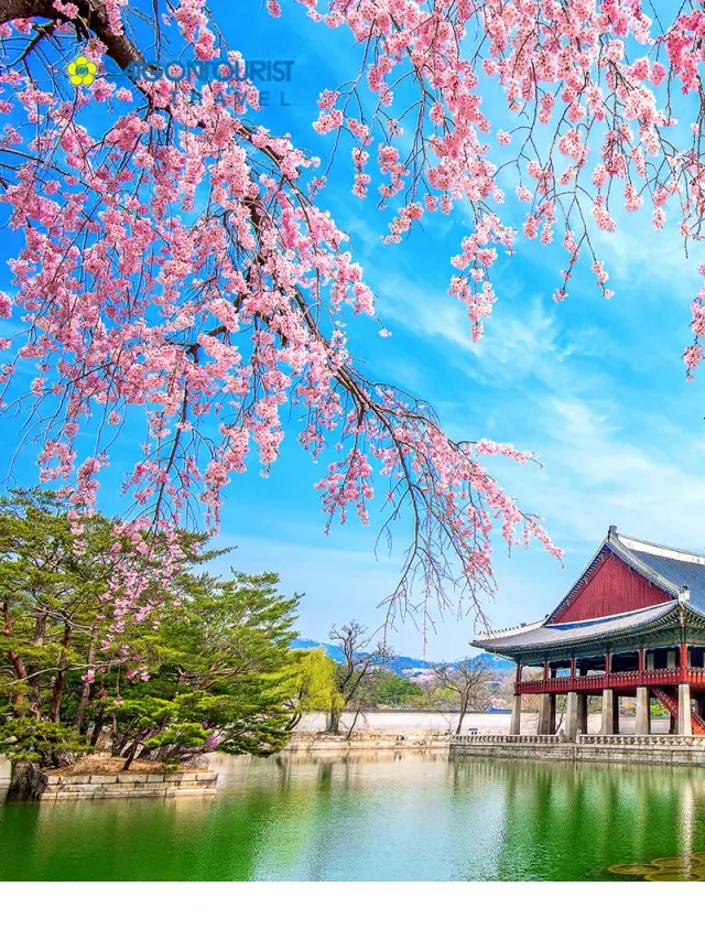   Du lịch Hàn Quốc 7 ngày 6 đêm - Khám phá Pusan, Jeju và Seoul