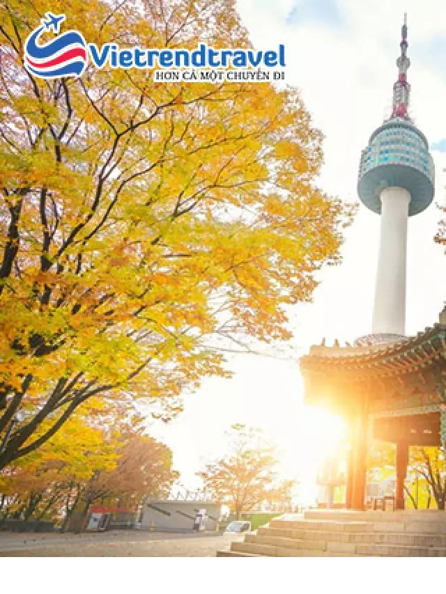   Du lịch Hàn Quốc Cao Cấp: Seoul - Everland - Nami - 5N4Đ Khách sạn 5* Quốc tế Bay sáng Vietnam Airlines từ Hà Nội