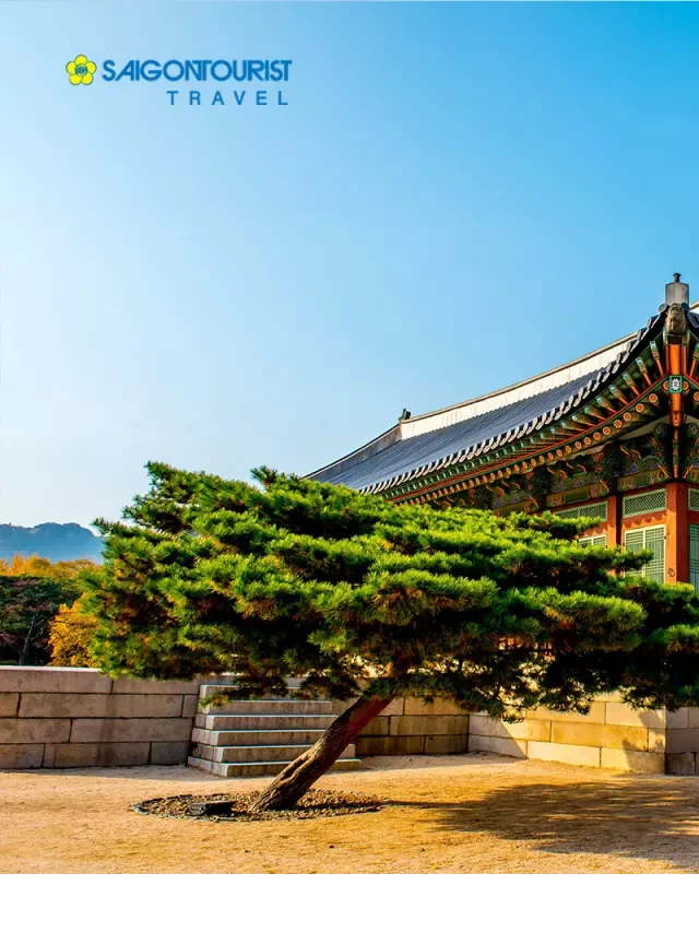   Du Lịch Hàn Quốc: Khám phá Đảo Jeju, Đồi Camellia, Herb Dongsan, Đảo Nami, Tháp Namsan và Nanta Show