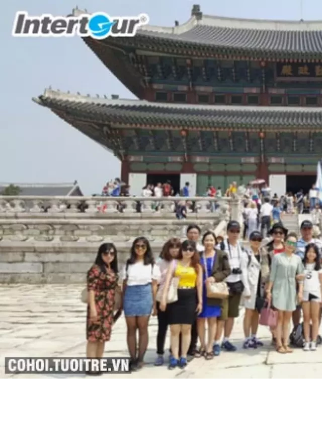   Du Lịch Hàn Quốc Mùa Thu: Khám Phá Cùng Intertour