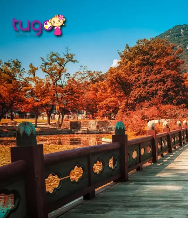   Du lịch Hàn Quốc tháng 9: Tận hưởng mùa thu đẹp như tranh vẽ