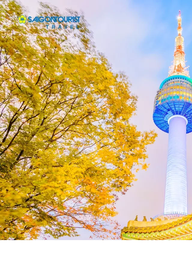   Du lịch Hàn Quốc - Khám phá màu sắc thu vàng [SEOUL – NAMI – EVERLAND - THÁP NAMSAN]