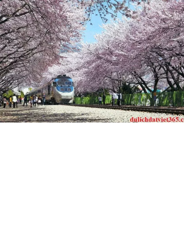   Du lịch Hàn Quốc: Một hành trình tuyệt vời từ Hải Phòng