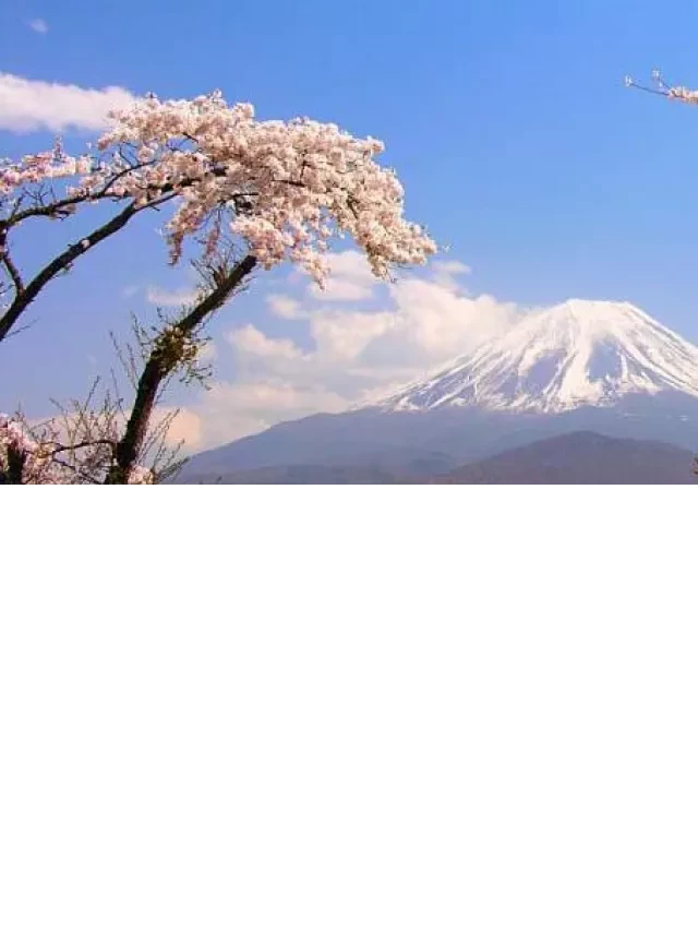   Du lịch Nhật Bản: Khám phá Tokyo, Hakone, Núi Phú Sĩ, Kawaguchiko và Nikko