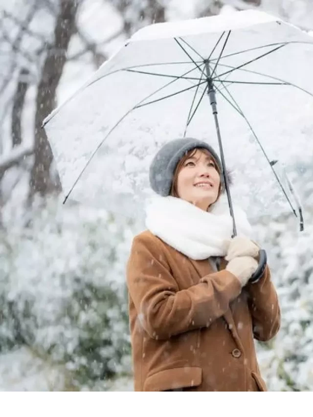   Du lịch Nhật Bản Tết Dương lịch và Tết Nguyên đán tại sao không?