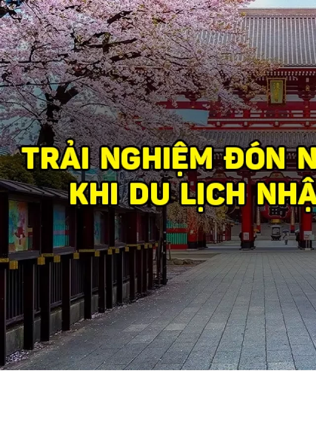   Du lịch Nhật Bản tháng 1: Trải nghiệm văn hóa đón năm mới