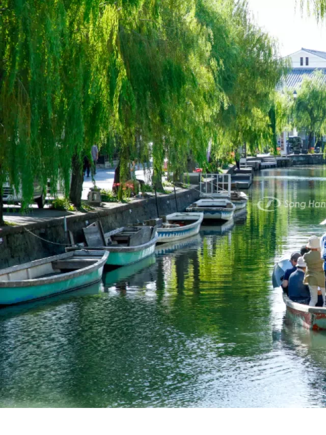   Du Lịch Nhật Bản Tháng 7: Khám Phá Mùa Hè Tại Xứ Phù Tang