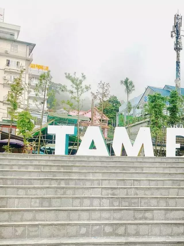   Du lịch Tam Đảo: Khám phá điểm đến thú vị