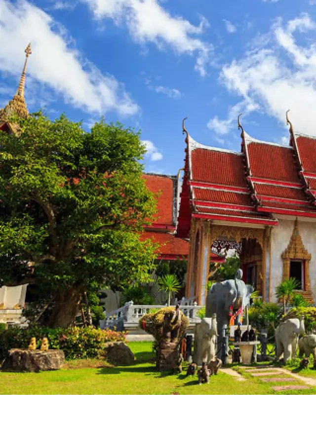   Du lịch Thái Lan 5N4Đ: Khám phá Phuket - Đảo Phi Phi