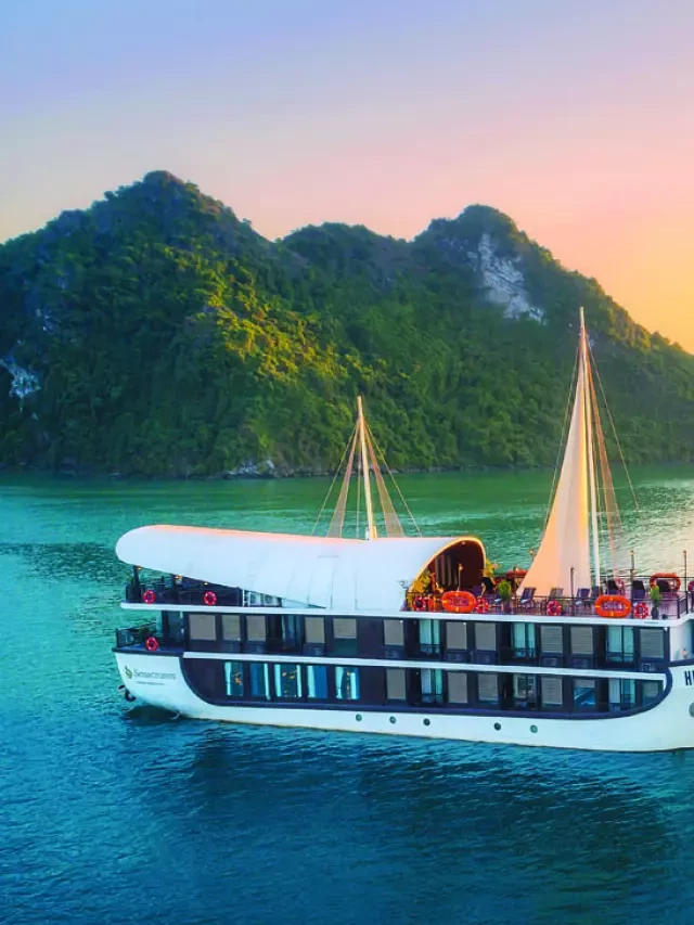   Du thuyền Hạ Long Sena Cruises: Trải nghiệm 5 sao đích thực trên vịnh Lan Hạ