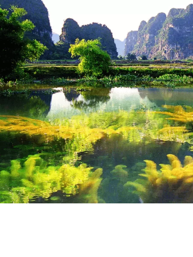   Gợi ý lịch trình du lịch Ninh Bình: Khám phá vẻ đẹp thơ mộng trong 2 ngày 1 đêm