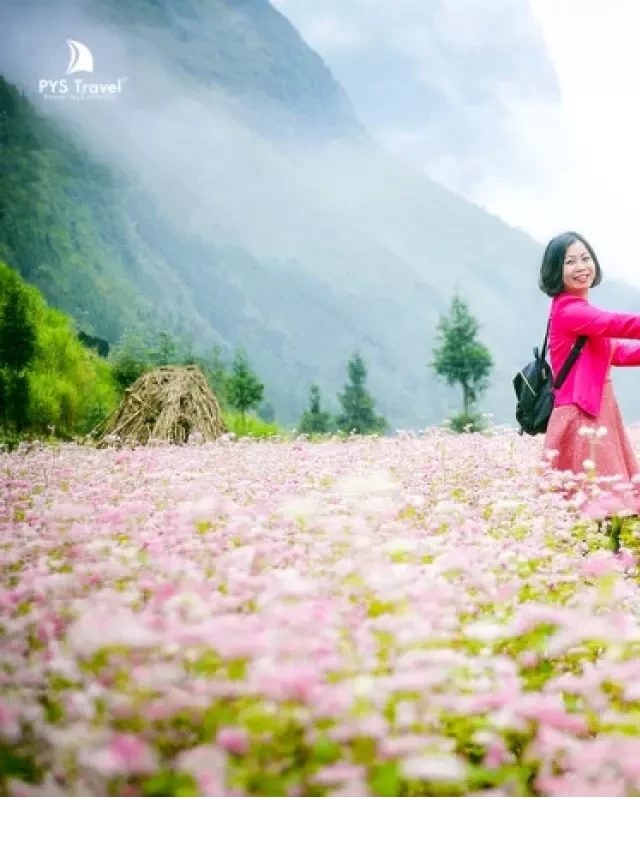   Gợi ý những địa điểm du lịch miền Bắc dịp Tết cho Việt Kiều