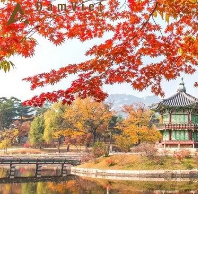   Du lịch Hải Phòng - Seoul - Everland - Nami