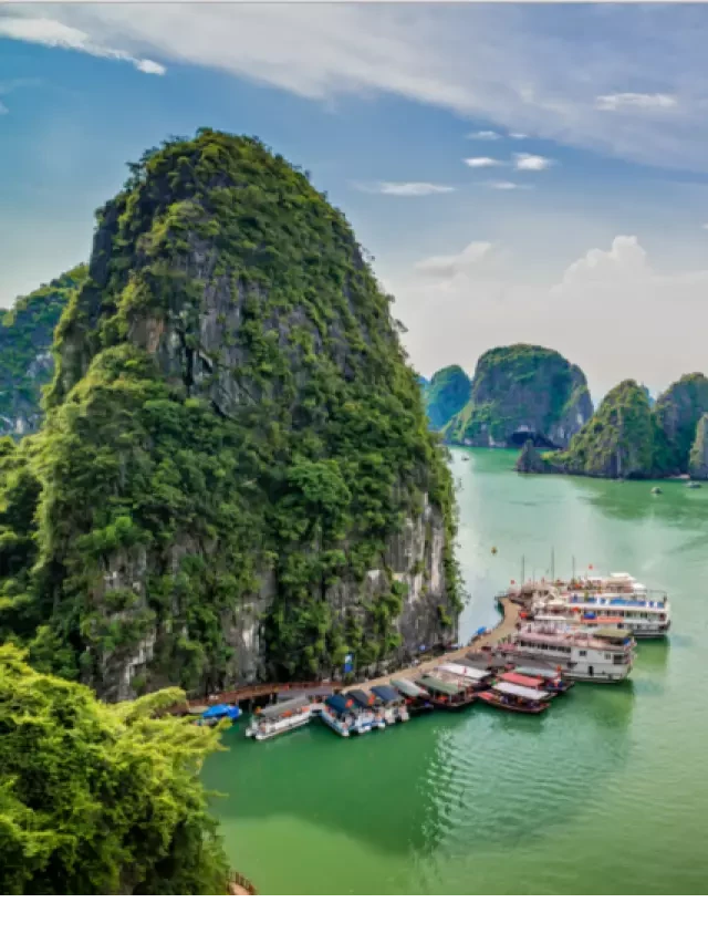   Halong Bay vs. Ninh Binh: Lựa chọn nào tốt hơn?