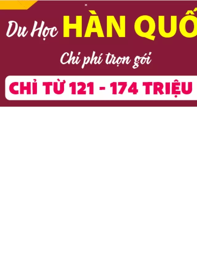   Hàn Quốc Mùa Hè: Thời Điểm Lý Tưởng Để Du Lịch Và Khám Phá Cảnh Sắc Nước Hàn