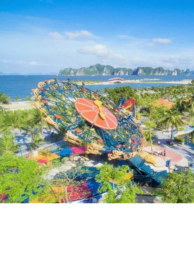   Khám phá Tour du lịch Tuần Châu 3 ngày 2 đêm - Trải nghiệm tuyệt vời tại vùng biển Hạ Long